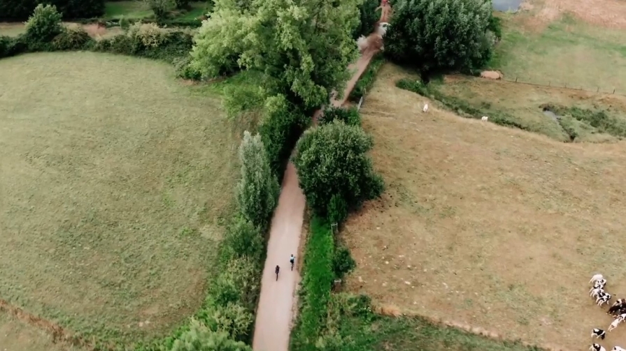 cycling trips netherlands