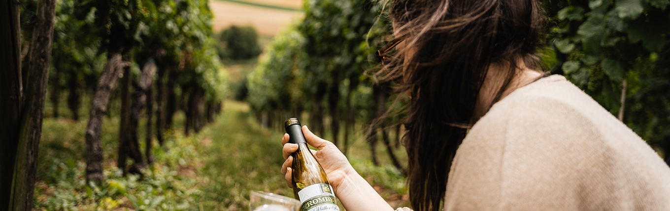 Lady in South Limburg vineyard Lady in South Limburg vineyard