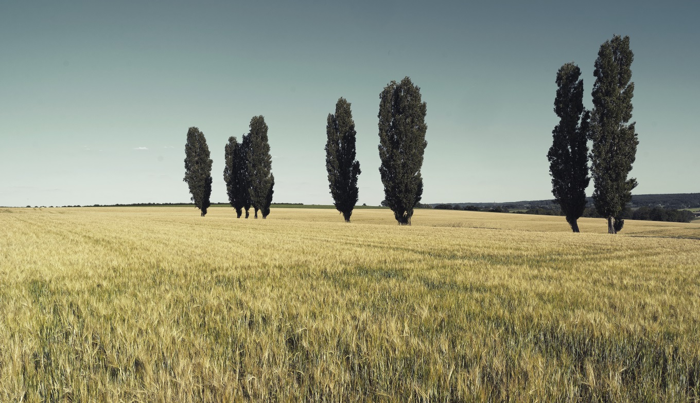 De Eyser Plantage, beschermd cultuurlandschap tussen Wittem en Eys De Eyser Plantage, beschermd cultuurlandschap tussen Wittem en Eys