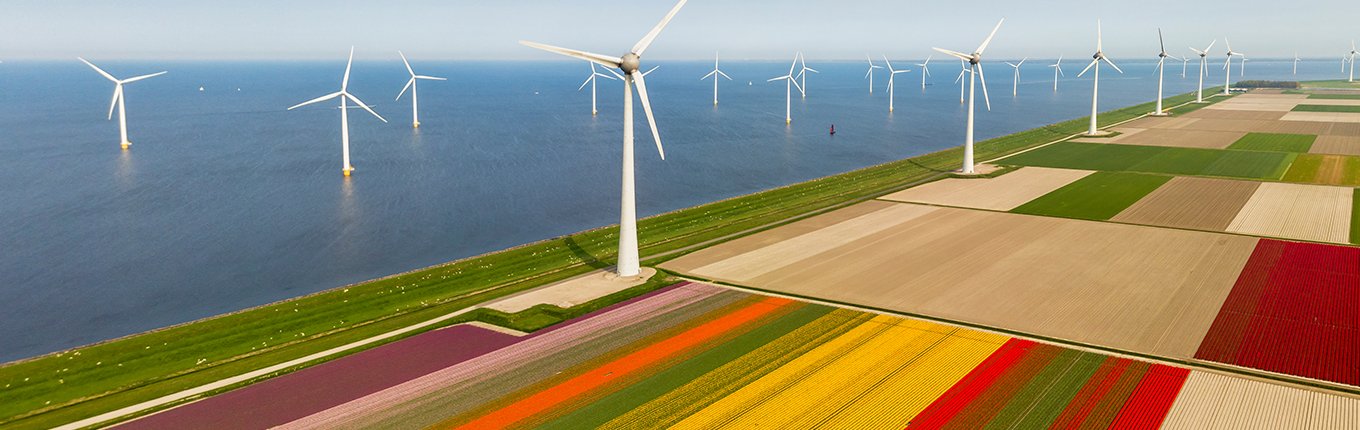  Flevoland aerial view of tulip fields and wind turbines in the noordoostpolder municipality