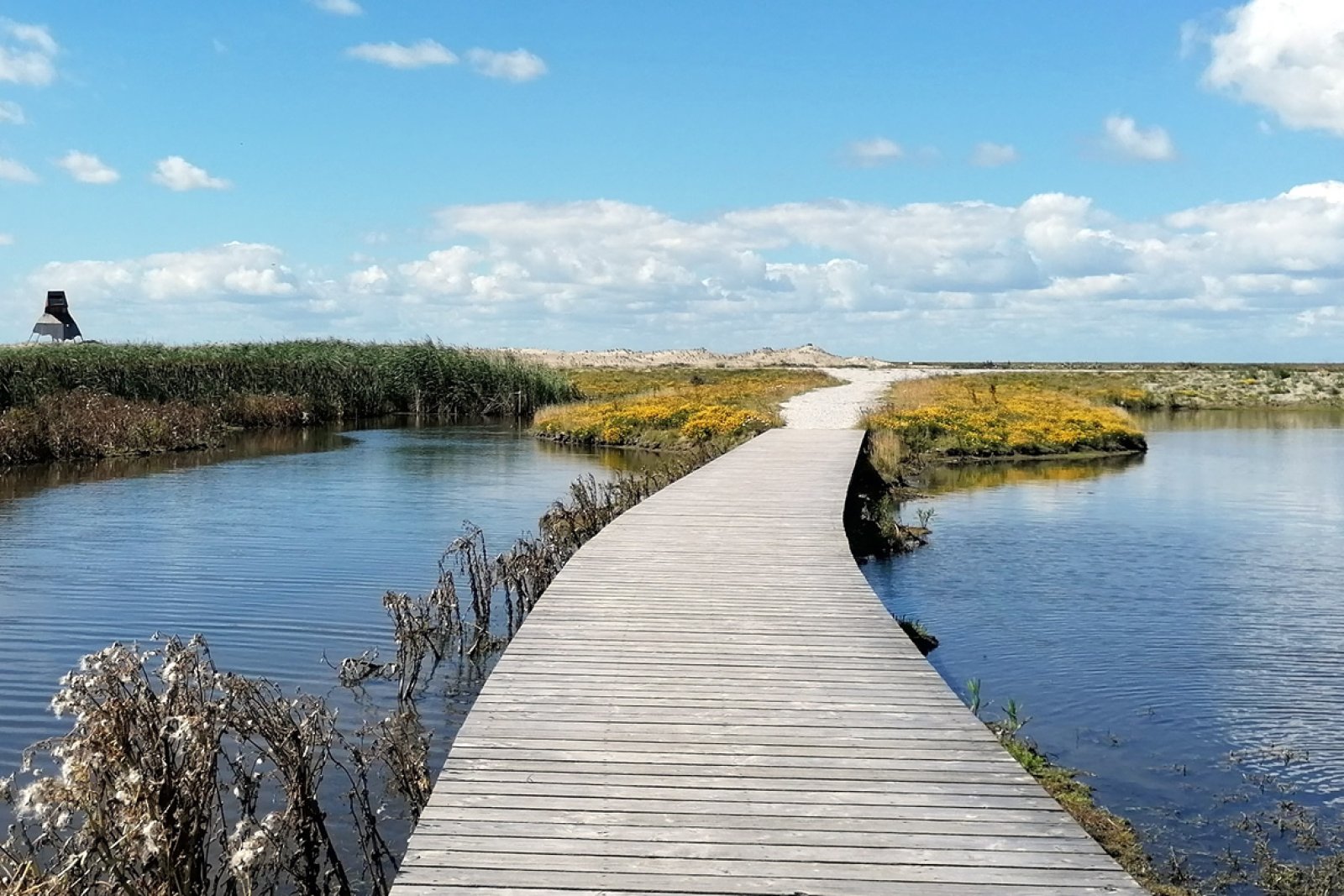 Marker Wadden with boardwalk