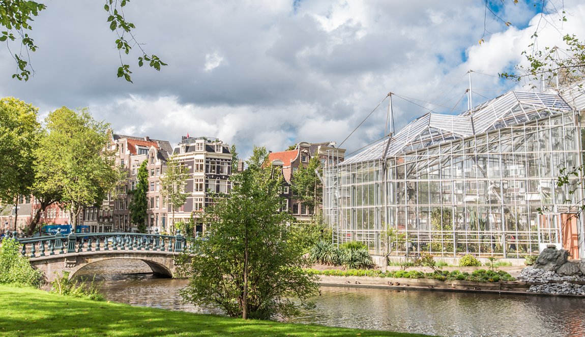 amsterdam with tourist