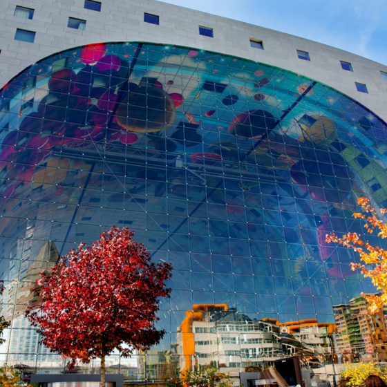 Rotterdam Markthal