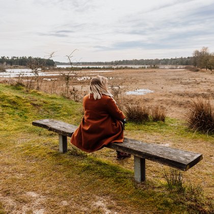 Van Gogh Drenthe sitting on bench peat bog