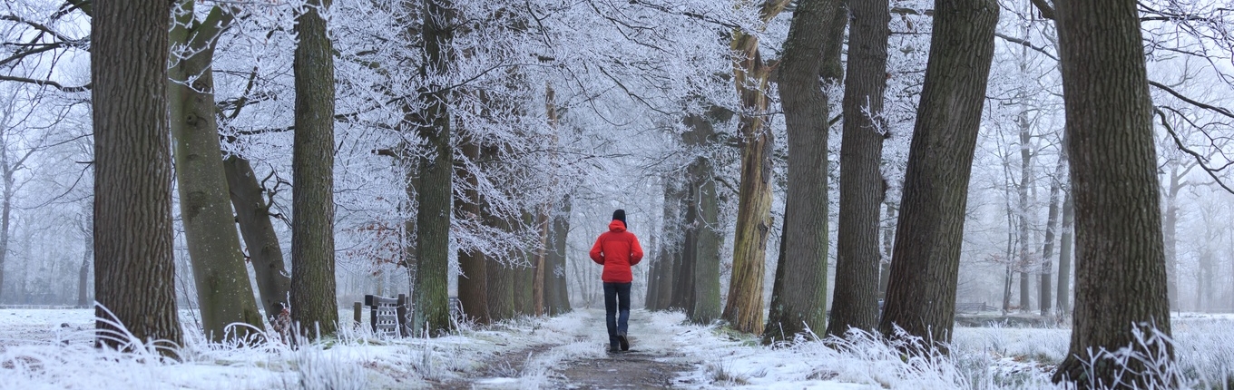 Man takes winter walk in forest with snow Man takes winter walk in forest with snow