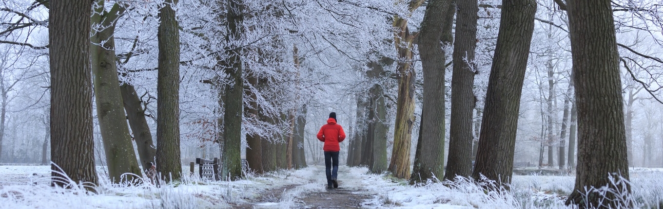 Man takes winter walk in forest with snow