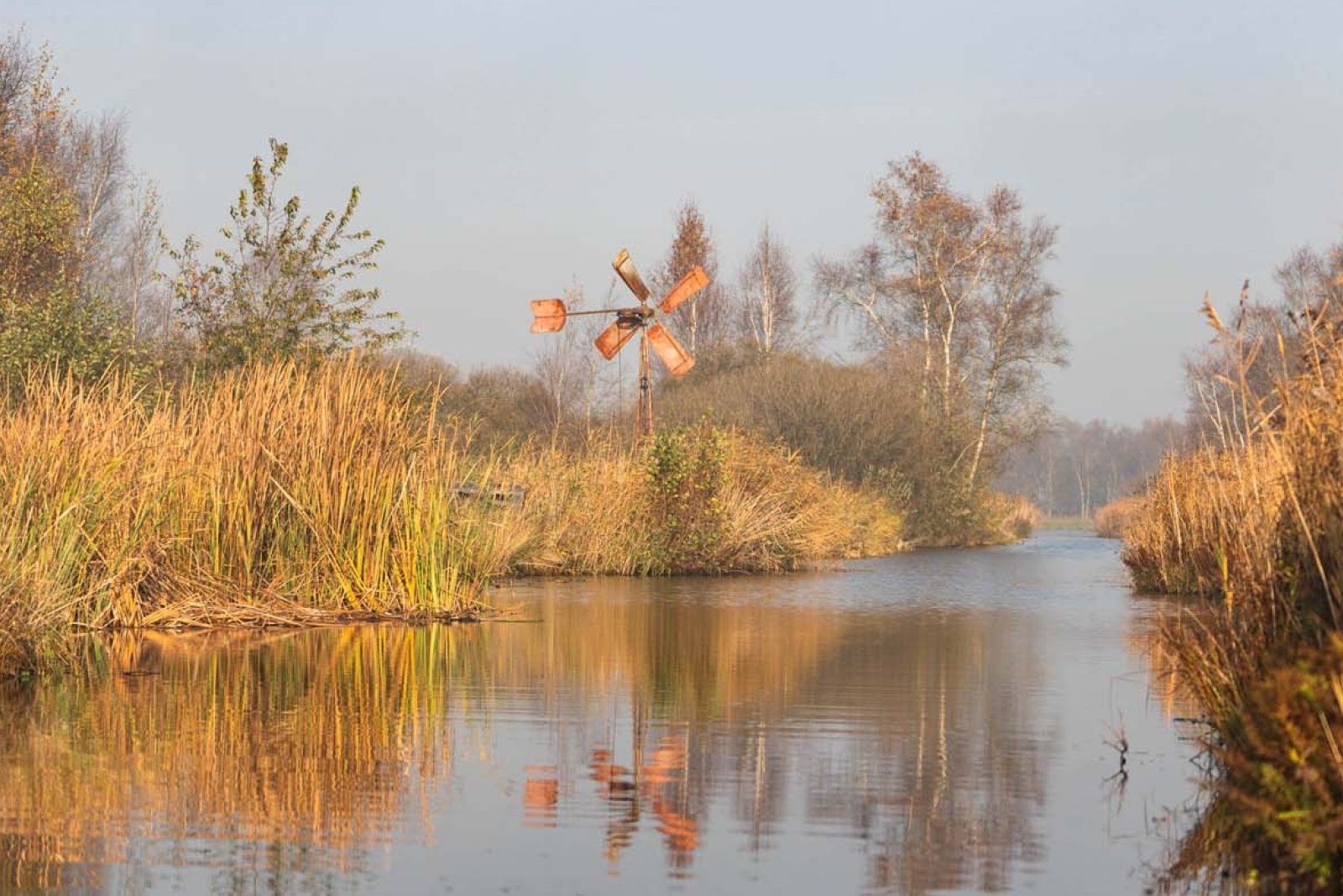 Yannick Whisper boat tour Weerribben Wieden