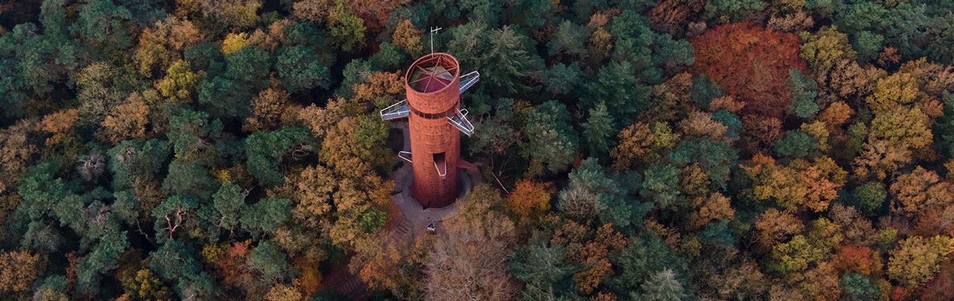 Bosbergtoren Appelscha in fall in Friesland Bosbergtoren Appelscha in fall in Friesland
