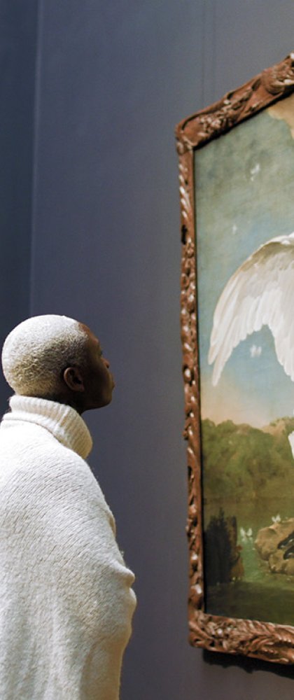 Woman views painting The endangered swan at Rijksmuseum. Painted by Dutch artist Jan Asselijn ca. 1650