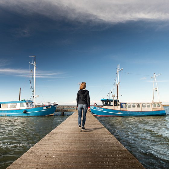 Lady on jetty near fishing boats Oostvaardersdijk Markermeer Flevoland