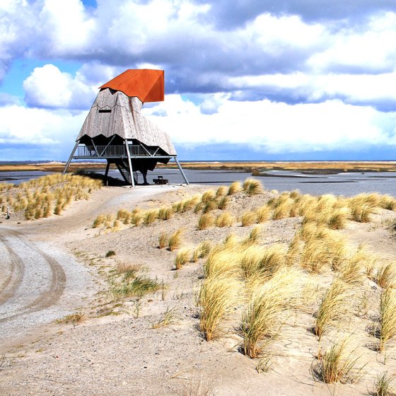 The Marker Wadden is a group of islands in the Markermeer part of National Park New Land 