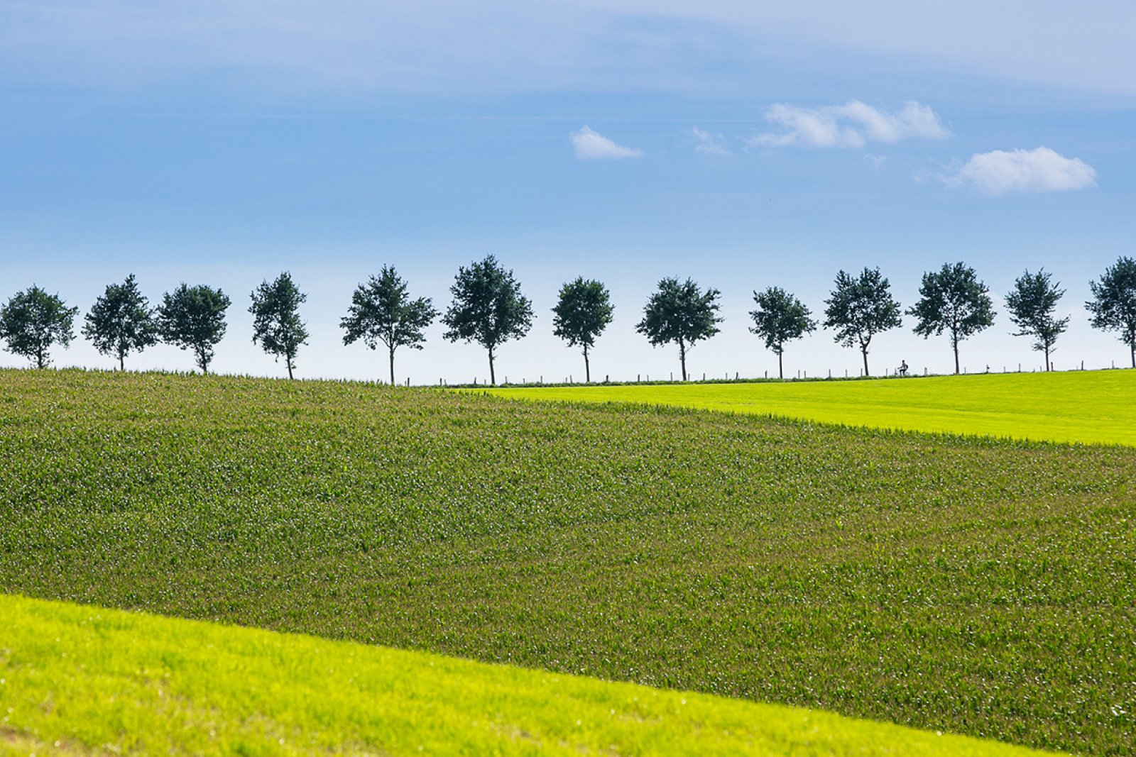 Landscape in South-Limburg