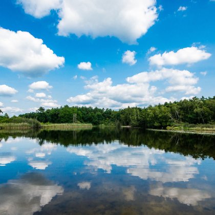 Meinweg nature reserve at Roermond