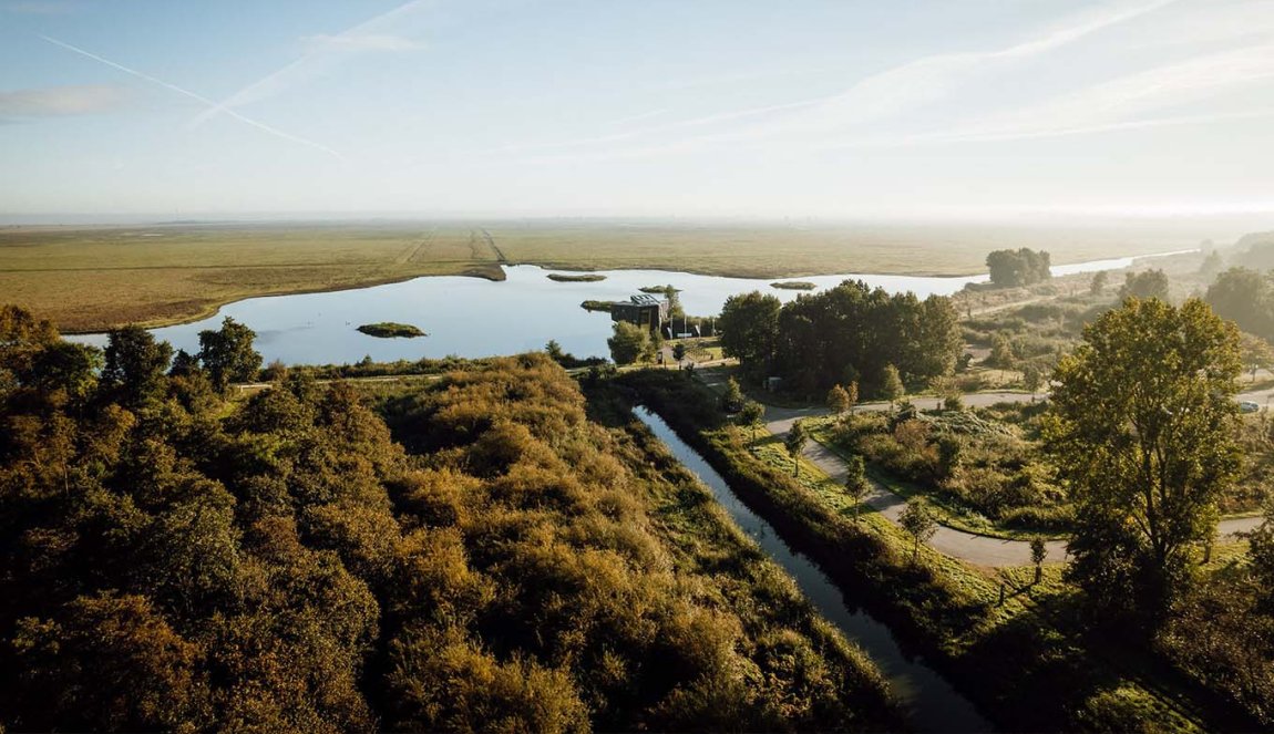 Hiking along the Oostvaardersplassen