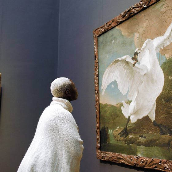 Visitor viewing The Threatened Swan by Jan Asselijn at the Rijksmuseum in Amsterdam, home to some of the Netherlands&rsquo; most iconic Dutch Master paintings