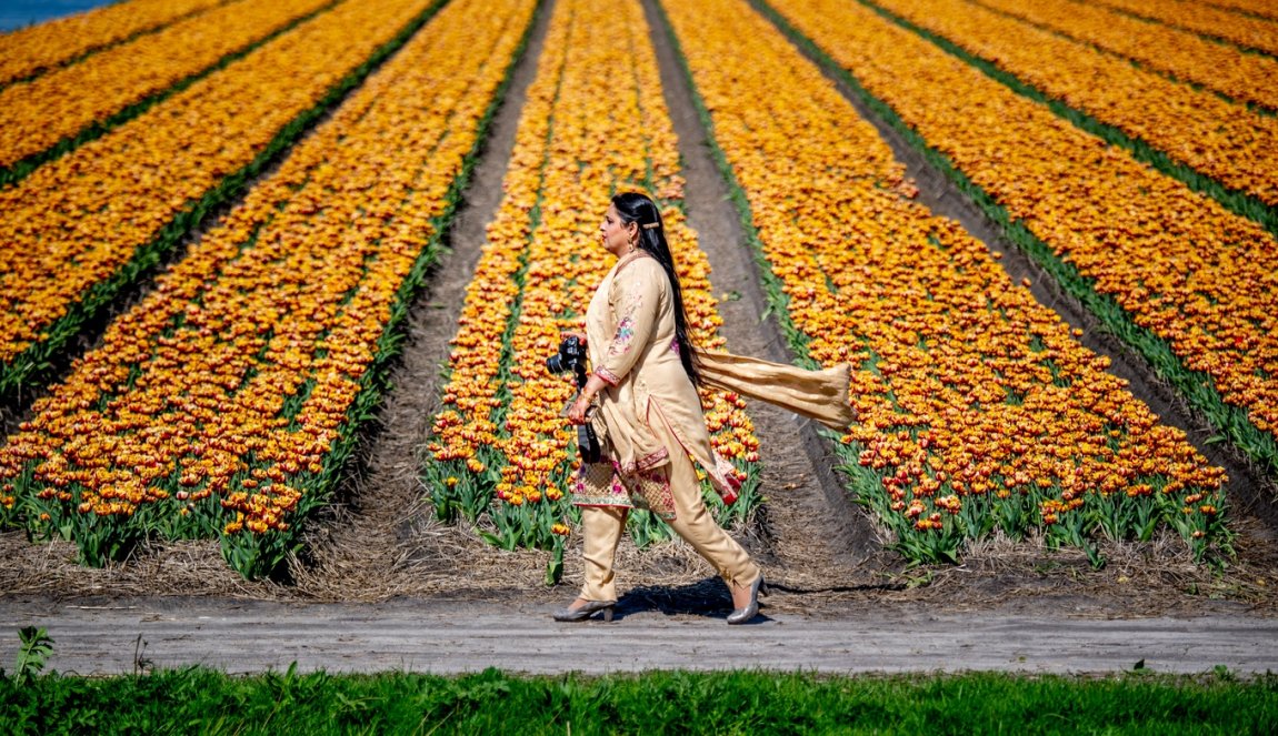 Tourist with camera looking for beautiful tulip photo Tourist with camera looking for beautiful tulip photo
