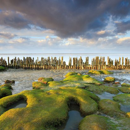 Groningen wadden sea coast at low tide