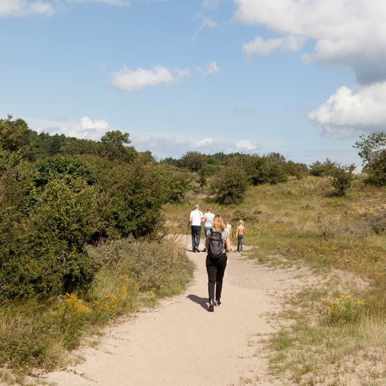 Family walks in South-Kennemerland National Park