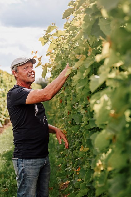 Wijngoed Wilgenhorst Flevoland