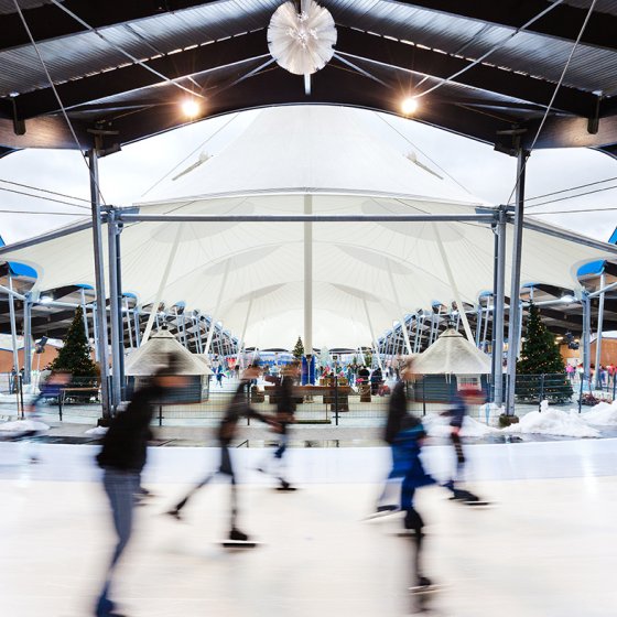 Green visit Artificial Ice Rink De Scheg - Overview 400-metre rink
