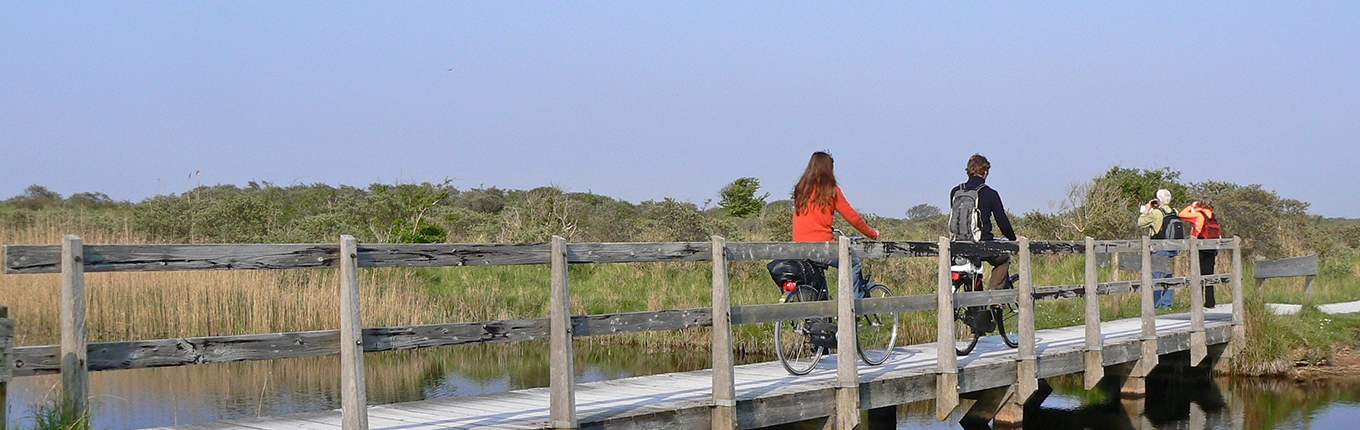 Riding a bycicle on a bridge in the National parc of Schiermonnikoog Riding a bycicle on a bridge in the National parc of Schiermonnikoog