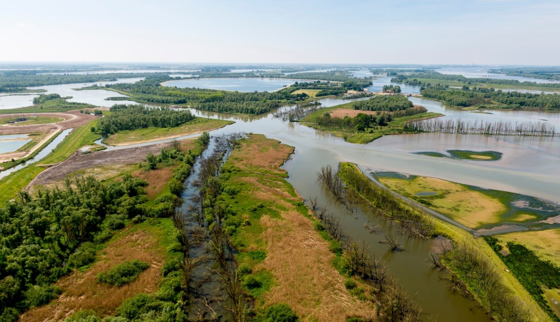 National Park the Biesbosch