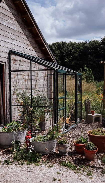 Vegetables from our own greenhouse