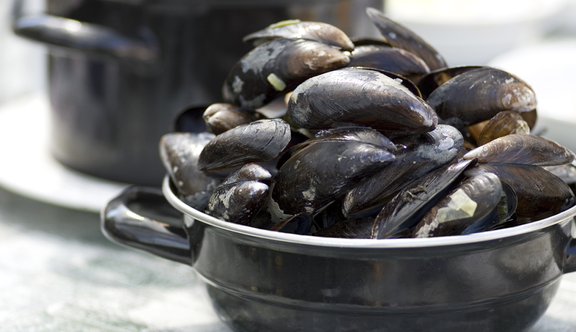 Pot full of steamed mussels Pot full of steamed mussels