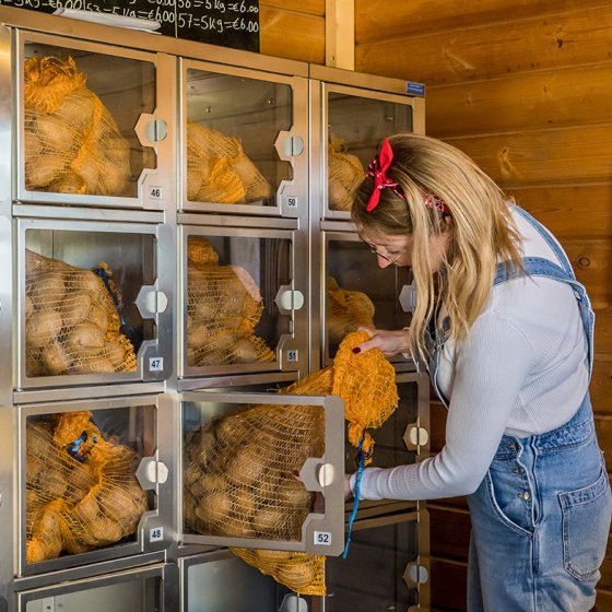 Buying potatoes from the vending machine at the farmer's premises