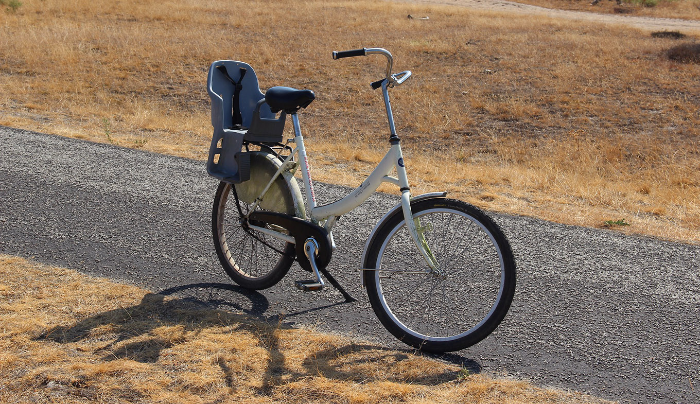 Gratis Fahrradfahren Im Park Hoge Veluwe Holland Com