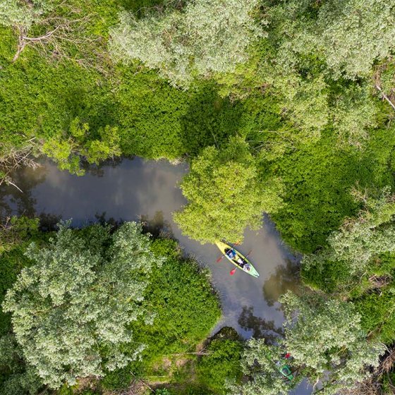 Canoeing through the Biesbosch from above 