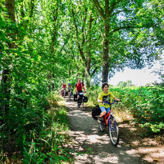 Family on bicycle vacation
